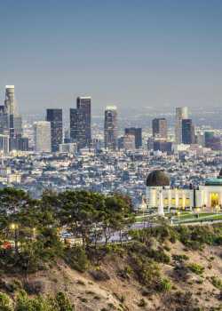 residential moving specialists moving movers foreman